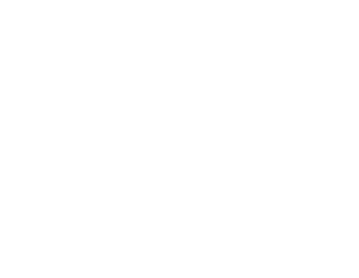 logo-USAF-white