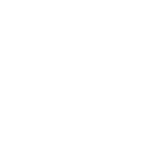 logo-snapdragon